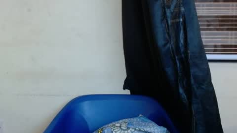 Snapshot of horny4bum chatting on 03-01-25, 07:48 horny4bum online show from 03-01-25, 07:48