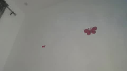 Iris online show from 11-20-25, 08:08