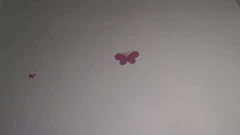 Iris online show from 02-05-26, 07:18