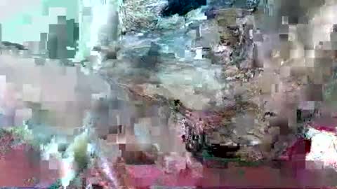 Snapshot of hornydrop_ chatting on 09-30-25, 11:15 hornydrop_ online show from 09-30-25, 11:15