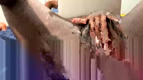 hornyftmguy82 online show from 12-18-24, 01:15