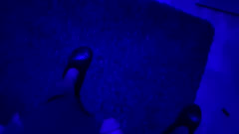 Snapshot of hornystroker21 chatting on 10-19-25, 02:01 hornystroker21 online show from 10-19-25, 02:01