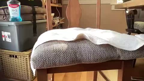 HornyThumb online show from 01-11-26, 06:02