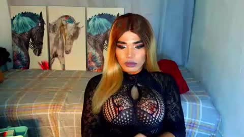 HORSECOCKterra online show from 09-24-25, 07:39