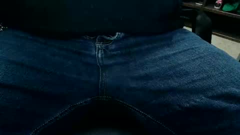 horsesaslife online show from 11-11-25, 08:53