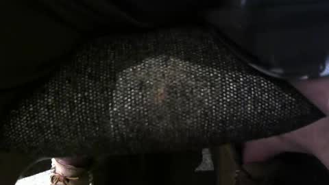 Snapshot of hot4lunch57 chatting on 09-27-25, 08:25 hot4lunch57 online show from 09-27-25, 08:25