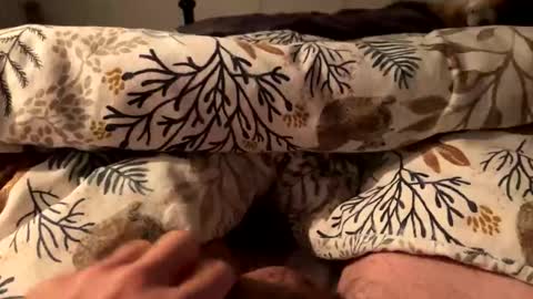 hot_for_you_ online show from 10-18-25, 12:57