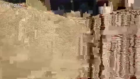 Hotcapolx online show from 11-17-25, 10:32