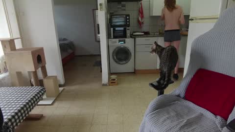 Hikikomori Alex online show from 12-24-24, 09:50