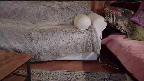 Snapshot of hotpeppersx chatting on 10-31-25, 08:21 Betty boob online show from 10-31-25, 08:21