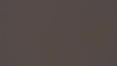 dada11 online show from 11-22-25, 08:13