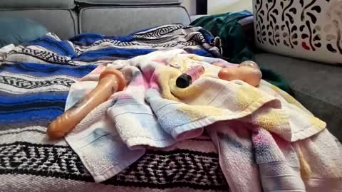 Snapshot of houdicky2 chatting on 09-19-25, 03:08 houdicky2 online show from 09-19-25, 03:08