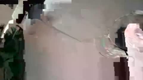 houndmefromhell online show from 12-04-24, 07:45