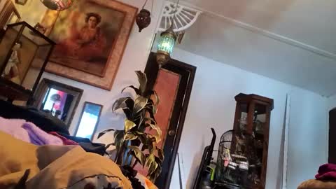 houndmefromhell online show from 03-05-25, 09:59