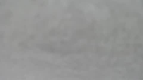 Snapshot of hourg chatting on 10-19-25, 04:35 Slutty little female cat online show from 10-19-25, 04:35