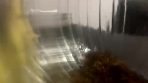 howarudoing online show from 10-05-25, 01:59