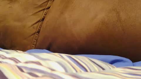 Snapshot of hugeftmdick chatting on 12-09-24, 06:01 BigFTMdick online show from 12-09-24, 06:01