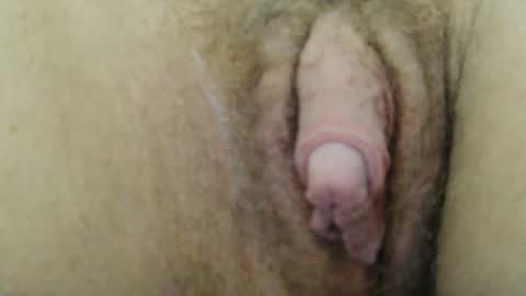 Snapshot of hugeftmdick chatting on 12-09-24, 08:33 BigFTMdick online show from 12-09-24, 08:33