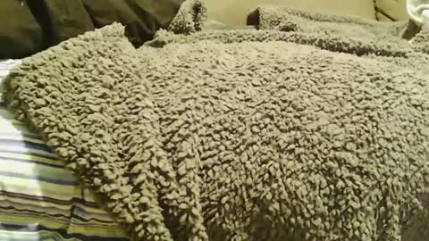 Snapshot of hugeftmdick chatting on 12-22-24, 07:11 BigFTMdick online show from 12-22-24, 07:11