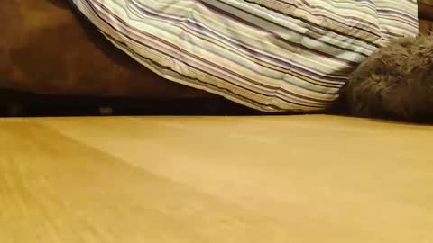 Snapshot of hugeftmdick chatting on 12-26-24, 02:12 BigFTMdick online show from 12-26-24, 02:12