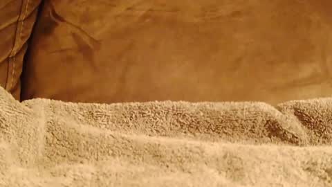 Snapshot of hugeftmdick chatting on 01-08-25, 06:41 BigFTMdick online show from 01-08-25, 06:41