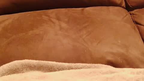 Snapshot of hugeftmdick chatting on 01-13-25, 05:12 BigFTMdick online show from 01-13-25, 05:12