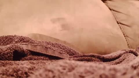 Snapshot of hugeftmdick chatting on 01-19-25, 05:37 BigFTMdick online show from 01-19-25, 05:37