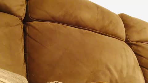 Snapshot of hugeftmdick chatting on 01-30-25, 04:06 BigFTMdick online show from 01-30-25, 04:06