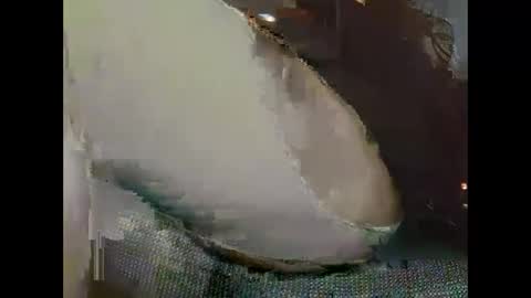 hujiajia520321431 online show from 11-19-25, 10:59