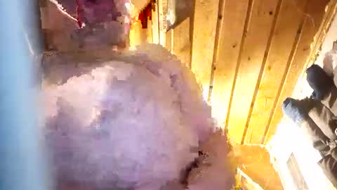 Snapshot of hung34u chatting on 01-08-26, 06:16 hung34u online show from 01-08-26, 06:16