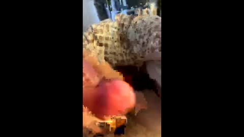 hungminer69 online show from 04-12-26, 01:43