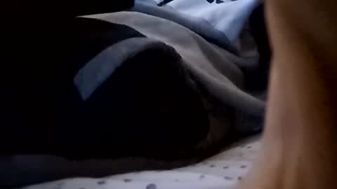 Snapshot of hungukguy777 chatting on 11-24-25, 12:21 hungukguy777 online show from 11-24-25, 12:21