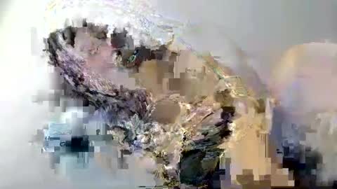 cant get you out of my head online show from 02-12-25, 01:59