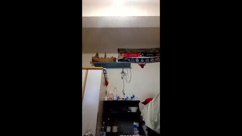 ia1405 online show from 12-02-25, 11:34