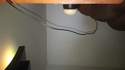 Snapshot of iam_bbc_ chatting on 11-23-25, 08:03 Andres online show from 11-23-25, 08:03