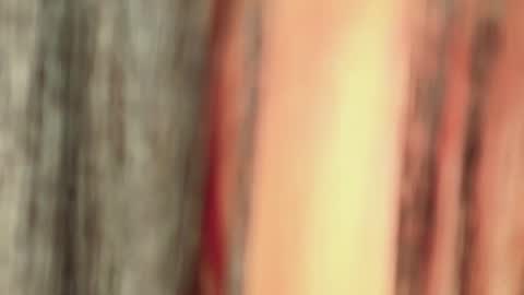 Isa online show from 01-11-26, 04:50