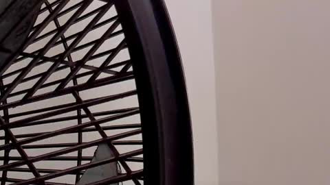 Snapshot of ian_castillo_ chatting on 02-11-26, 11:15 IAN CASTILLO online show from 02-11-26, 11:15