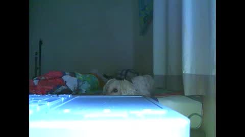 Snapshot of ian_zaenz chatting on 11-07-25, 07:03 Ian is back my loves online show from 11-07-25, 07:03