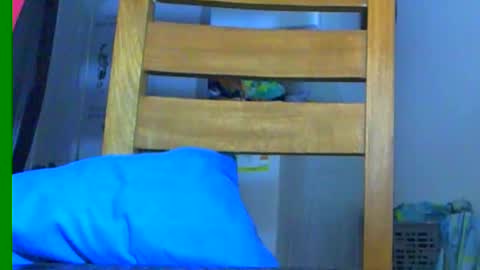 Samuel igsamuelnoguera 1333 online show from 12-01-24, 10:10