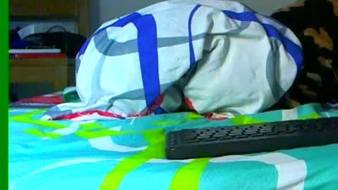 Samuel igsamuelnoguera 1333 online show from 12-29-24, 01:13