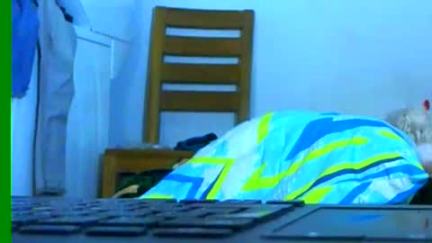 Samuel igsamuelnoguera 1333 online show from 01-26-25, 03:27