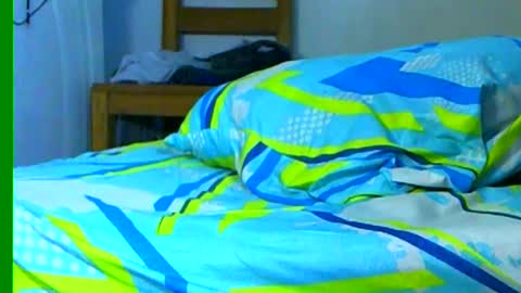 Samuel igsamuelnoguera 1333 online show from 01-26-25, 08:45