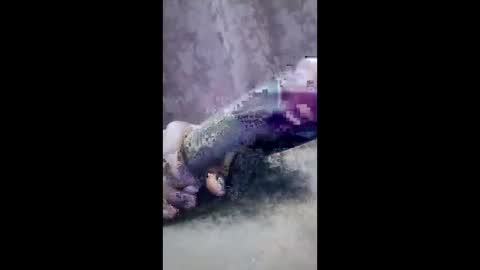 Snapshot of ibhcgvuspcrb chatting on 03-04-26, 08:04 ibhcgvuspcrb online show from 03-04-26, 08:04