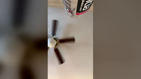 idkk_97 online show from 03-29-26, 08:09