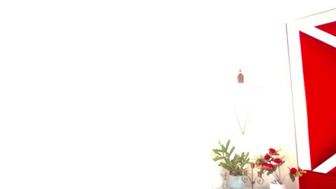 Isabella online show from 11-14-25, 07:56