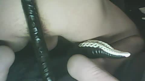 ikercheal online show from 01-29-25, 02:10