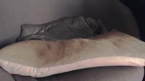 Snapshot of ilgiveuthemarathon chatting on 10-25-25, 05:15 MR Marathon online show from 10-25-25, 05:15