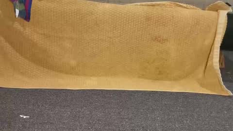 Snapshot of ilovethef chatting on 11-24-25, 12:32 ilovethef online show from 11-24-25, 12:32