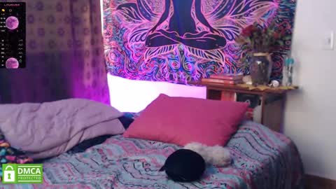 Cutie pie online show from 12-21-24, 10:19