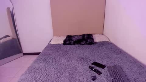 Perseo - Help me with 50 thumbs up online show from 02-26-26, 07:46